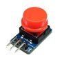 Large Button Module with Cap