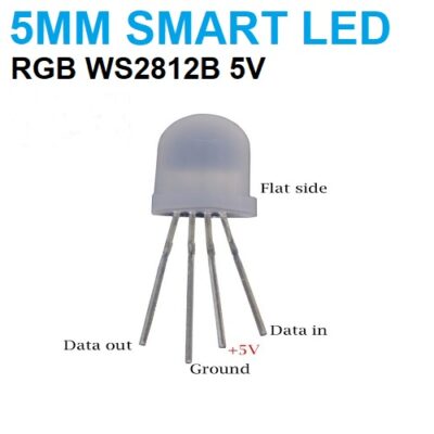 F5 5mm WS2812B RGB Smart LED 5V