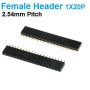 Pin Header Female 1x20 Straight Connector 2.54mm pitch Black