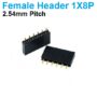 Pin Header Female 1x6 Straight Connector 2.54mm pitch