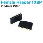 Pin Header Female 1x6 Straight Connector 2.54mm pitch