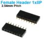 Pin Header Female 1x8 Straight Connector 2.54mm pitch